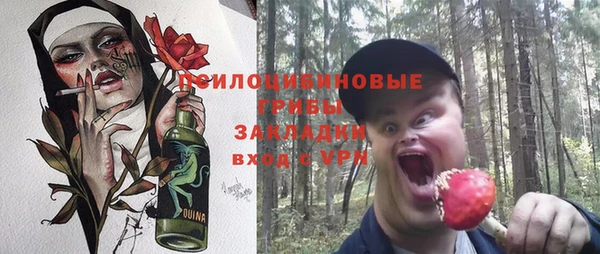 ешки Алексин