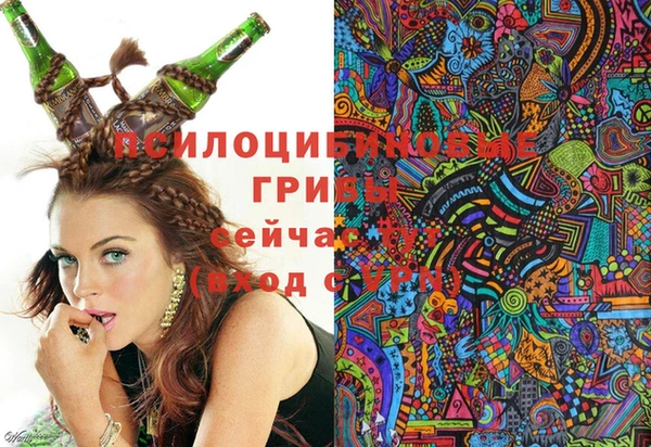 PSILOCYBIN Абинск