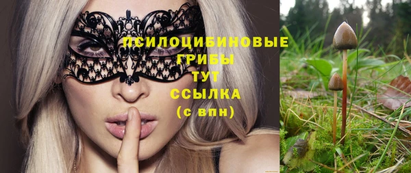 spice Алзамай