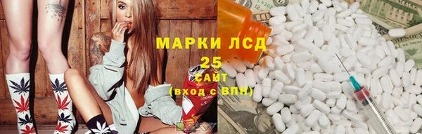 spice Алзамай