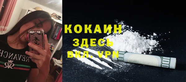 spice Алзамай