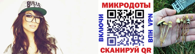 Псилоцибиновые грибы Psilocybine cubensis  blacksprut сайт  нарко площадка официальный сайт  Новоалтайск 