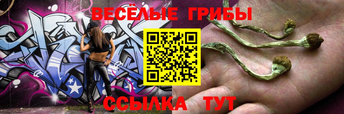Галлюциногенные грибы ЛСД  Псилоцибиновые грибы MAGIC MUSHROOMS  Новоалтайск  Вход с VPN 