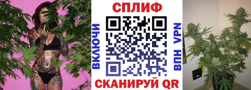 наркошоп  Новоалтайск  Каннабис гибрид 